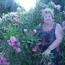 ���� ������, ���������� ����� - ��������� 31 ��� 2020 � ������ ����� �� ������ ���໻