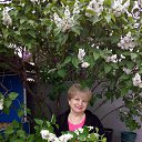 ���� �����, ���������� - ��������� 10 ��� 2020 � ������ ���� ����������