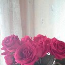 ���� �����, ����, 48 ��� - ��������� 22 ����� 2020 � ������ ���� ����������