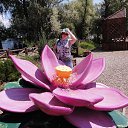 ���� ����� �������, ���������, 64 ���� - ��������� 29 ���� 2020 � ������ ���� ����������