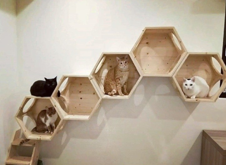  ! - 2
