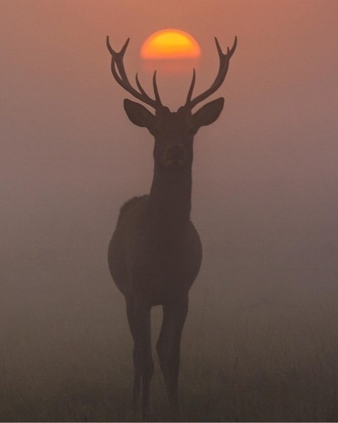  oo 2019 o o  National Geographic - 6