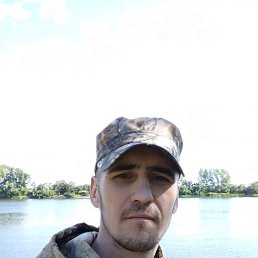 ������, ������, 41 ���