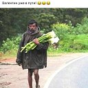 ���� ������, ���������� - ��������� 14 ������� 2020 � ������ ���� ��������