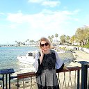 ���� �������, ������ - ��������� 12 ������� 2020 � ������ ���� ����������