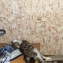 ���� ��������, �����������, 52 ���� - ��������� 27 ������ 2020 � ������ ���� ����������