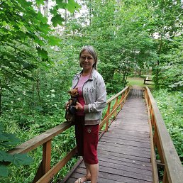 ��������, ��������, 67 ���