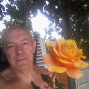 ���� Tolik, ���������, 72 ���� - ��������� 2 ����� 2020 � ������ ���� ����������