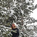 ���� ������, ������������ - ��������� 23 ������ 2020 � ������ ���� ����������