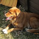 �� ��������... �� ������� ������ � ������ ������...�