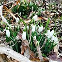  Viktorija))),  -  30  2020    