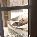  , -, 45  -  10  2020    