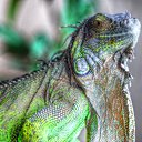 ��� ����� �� ������� ���� ����������