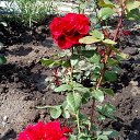  ,  -  3  2020     2020