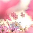 ���� Severnaya, ������ �������� - ��������� 13 ������ 2020 � ������ ������ ��������