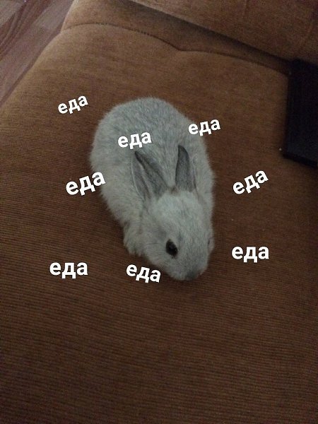 ��� ��� ���� � ����� - - 3