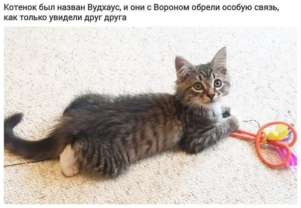 o   oo ooo o, o  o  . - 3