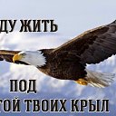 ���� ������� ����, �����, 38 ��� - ��������� 24 ���� 2020