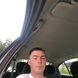 �������, �������, 39 ���