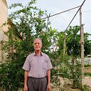 ���� ��������, �����, 68 ��� - ��������� 8 ���� 2020