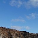 ���� ����, ����-���������, 36 ��� - ��������� 26 ���� 2020 � ������ ���� ����������