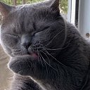 ���� ��������� *******, ����, 66 ��� - ��������� 28 ���� 2020 � ������ ���� ����������