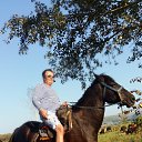 ���� �����, ����-�����������, 50 ��� - ��������� 9 ���� 2020 � ������ ���� ����������