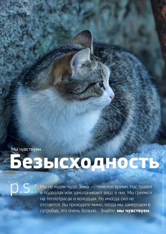������������� ���������� ��� ���c����셻.������������ � ���, ��� � � ��������� �������� ���� ... - 4