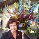 ���� �������, ������, 66 ��� - ��������� 16 ����� 2020