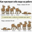 ���� ���������, ������ - ��������� 8 ������� 2020 � ������ ���������