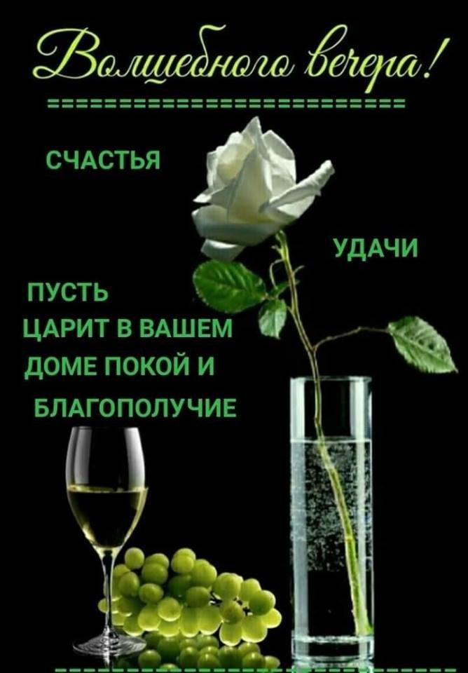   ,    . - 2  2020  17:14 - 2