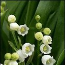 ���� Severnaya, ������ �������� - ��������� 4 ��� 2020 � ������ ������ ��������