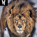 ���� ��������������, ������, 57 ��� - ��������� 19 ������ 2020