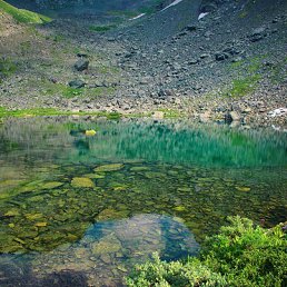 ���� ���� 83 ����, ������� - ��������� 31 ����� 2020