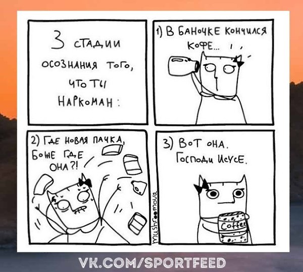 !   . SportFeed! !