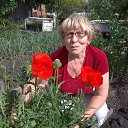 ���� ������, ������� - ��������� 2 ���� 2020 � ������ ���� ����������