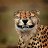 ���� Marfysha, ���������� - ��������� 16 ��� 2020