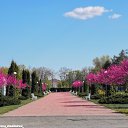 ���� �������, ������ - ��������� 28 ������ 2020 � ������ ������ ��������