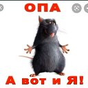 ���� ��������, ����������, 43 ���� - ��������� 4 ����� 2020 � ������ ���� ����������