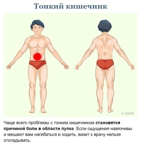        - 8
