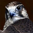 ���� �����, ������, 38 ��� - ��������� 5 ����� 2020 � ������ ���� ����������