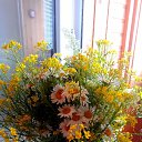 ���� ���������, �������, 57 ��� - ��������� 18 ���� 2020 � ������ ������ ��������