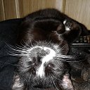 ���� ������, ��������, 55 ��� - ��������� 14 ������ 2020 � ������ ������ ��������