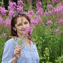 ������ ���� ��� �� ������� ���� ����������