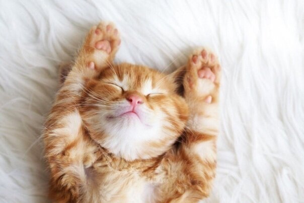 ������, ����� � ����������� ������ �� ���� ���� :)