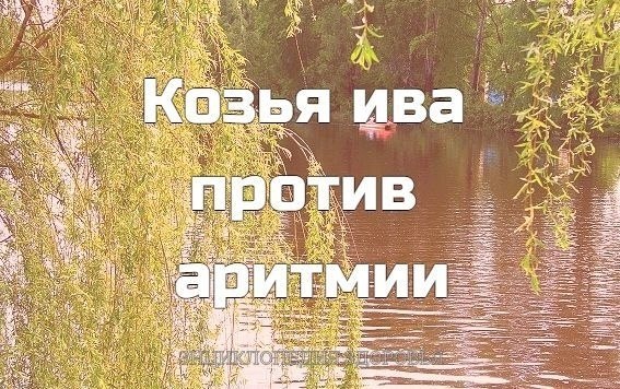 Мне 74 года. Работать закончил полгода назад из-за артрита, артроза ног. В конце 2005 года появилась ...