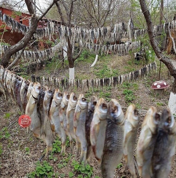 ......   ,    ......       .....!!!!!!!!!!!!!