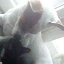 ���� ����, ������� - ��������� 13 ������ 2020 � ������ ������ ��������