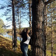 , 29 , 