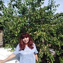 ���� ������, ������ - ��������� 16 ���� 2020 � ������ ���� ����������